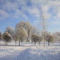 Февральский денек :: Валентина 