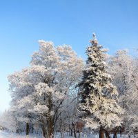 Зима в городе :: Андрей Снегерёв