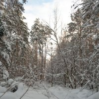 Побродилки с фотокамерой. :: Олег Пучков