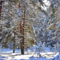 В Берендеевом царстве. :: Восковых Анна Васильевна 