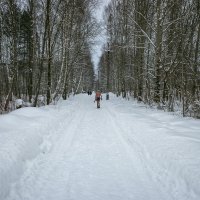 "...и скpылся из глаз в пелене февраля." :: Михаил "Skipper"