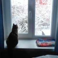 Даже не верится, что был снег совсем недавно :) :: Наталья 
