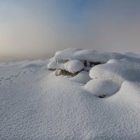 Снежный берег Енисея :: Марина Фомина.