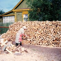 Заготовка дров. 90-е :: Валерий Судачок