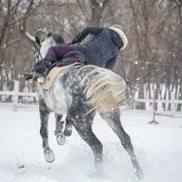 неудачная поездка :: Елена Логачева