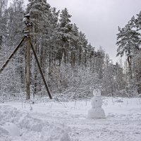 Снеговик :: оксана 