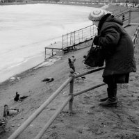 Пожилая женщина кормит птиц на набережной Кронверкского пролива :: Магомед .