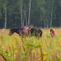 Почти на свободе :: Андрей Лукьянов