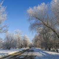 Зима в Коломенском. :: Aleksey Afonin