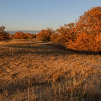 "Рыжая" осень :: Александр 