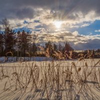 Февральское солнце # 03 :: Андрей Дворников