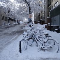 все в снегу, даже велосипеды :: Anna-Sabina Anna-Sabina