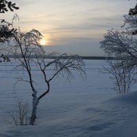 Зима у озера :: Ольга 