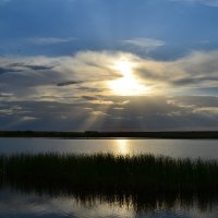 Солнце,над озером :: Андрей Хлопонин