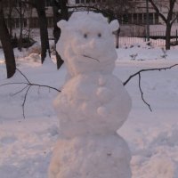 Снеговик :: Дмитрий Никитин