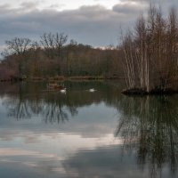 Вечная пара :: Николай Гирш