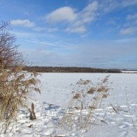 Зима - февраль (из поездок по области). :: Милешкин Владимир Алексеевич 