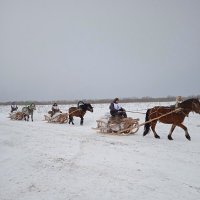 Двенадцатые областные соревнования конников на лошадях Мезенской породы :: ЛЮДМИЛА 