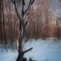 *** :: Олег Грибенников