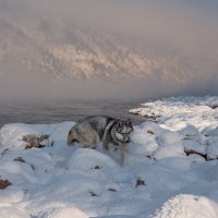 Попить воды :: Марина Фомина.