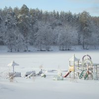 Зима на пруду :: Лидия (naum.lidiya)