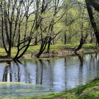 Московская область. Город Чехов. Городской парк культуры и отдыха. :: Наташа *****