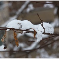 Время ЧБ :: Михаил Розенберг