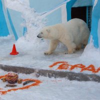 ГЕРДА :: аркадий 