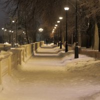 Прогулка по зимнему парку :: Евгений Седов