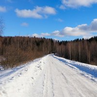 По дорогам Смоленщины (репортаж  из поездки на Рязановское озеро). :: Милешкин Владимир Алексеевич 