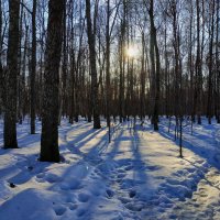 Последний день зимы - тема с вариациями :: Андрей Лукьянов