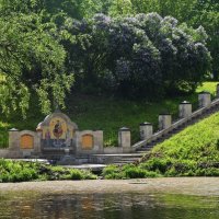 Московская область. Город Чехов. Городской парк культуры и отдыха. Цветет сирень. :: Наташа *****