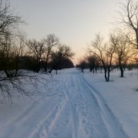 Дорога к весне... :: Андрей Хлопонин
