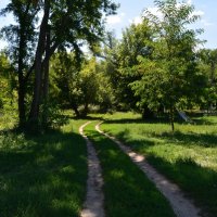 Каменск-Шахтинский. Дорога в парке имени Маяковского. :: Пётр Чернега