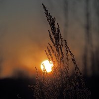 Фефральское солнце :: Александр Зиновьев