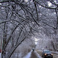Зима в городе :: Сергей Карачин