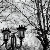 Аллейные фонари Старого парка... :: Евгений 