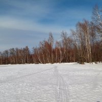 Следы на льду озера :: Galina Solovova