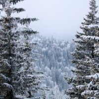 Зимний пейзаж :: Сергей Скорик