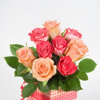 Розовые и красные розы :: Ольга Бекетова