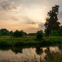 Пейзаж с вечерней берёзой :: Николай Гирш