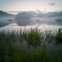 Озеро в тумане :: Алексей Некрасов