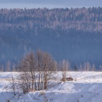 Рыбак на Сылве :: Алексей Сметкин