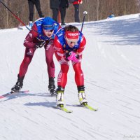 Королева лыжного спорта Наталья Непряева на дистанции 50км :: Ирина Баскакова