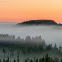 Туманное утро :: Виктор Желенговский