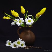 Жёлтые тюльпаны и белые хризантемы :: Ирина Баскакова