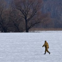 Белое безмолвие. :: Александр Сергеевич 