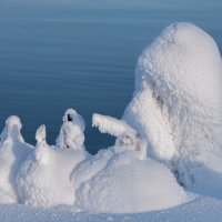 Курица,петух и голова в маске. :: Игорь Иванов