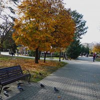 Осень  в  парке  Тренёва :: Валентин Семчишин