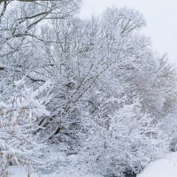 протока :: Виталий Емельянов